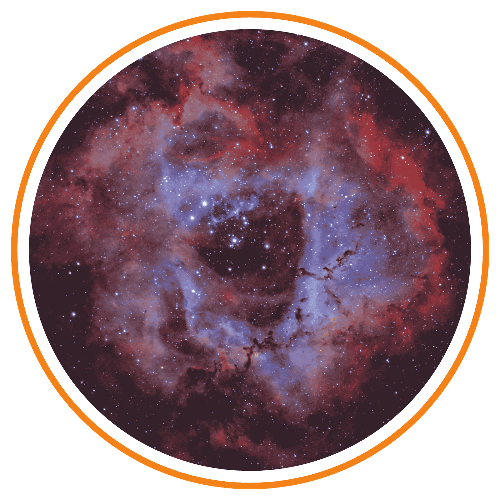 Best astrologer in hyderabad